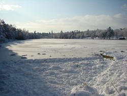 Tilgate Lake frozen.
