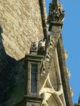 Peregrine on Chichester Cathedral