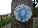 Hampshire South Downs Way