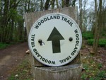Woodland Trail