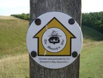 The Monarch's Way