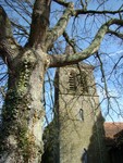 Fernhurst